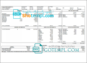 perfect fit pay stub template in Word and PDF format