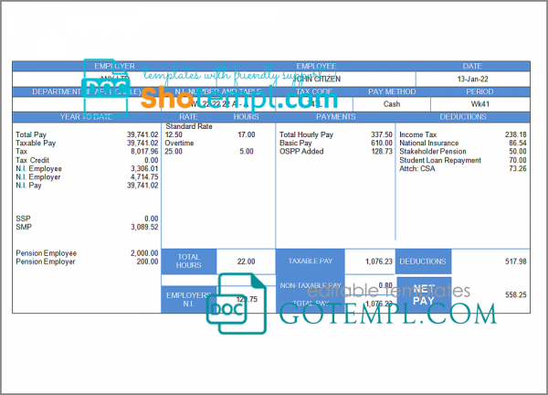 elegant looks pay stub template in Word and PDF format
