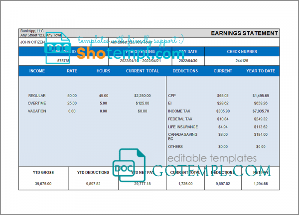 cross wise pay stub template in Word and PDF format