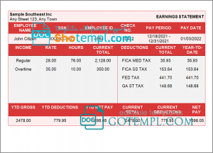 sure shot pay stub template in Word and PDF format