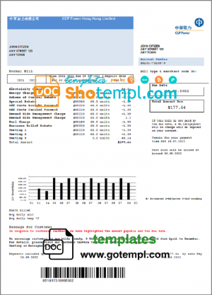 USA Prestige Services invoice template in Word and PDF format, fully editable