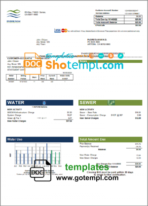 VTB Bank firm account statement Word and PDF template