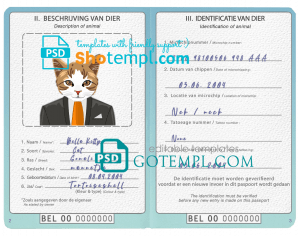 free Belgium cat (animal, pet) passport PSD template, fully editable