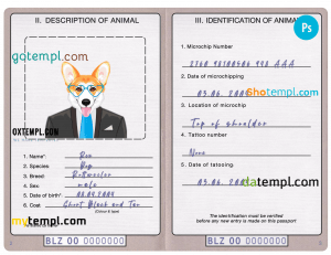 free Belize dog (animal, pet) passport PSD template, completely editable