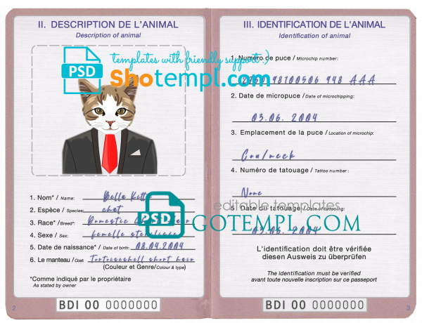 free Burundi cat (animal, pet) passport PSD template, fully editable