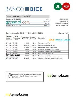 Chile Banco Bice bank statement Excel and PDF template (AutoSum)