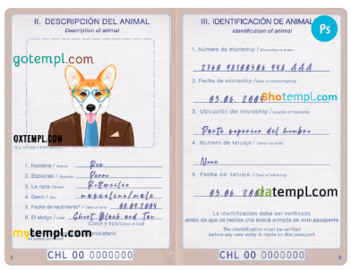 free Chile dog (animal, pet) passport PSD template, completely editable