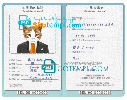 free China cat (animal, pet) passport PSD template, completely editable