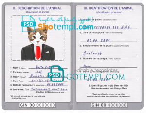 free Guinea cat (animal, pet) passport PSD template, fully editable