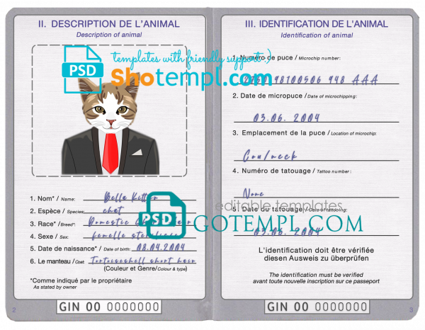 free Guinea cat (animal, pet) passport PSD template, fully editable