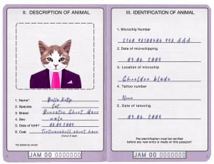free Jamaica cat (animal, pet) passport PSD template, completely editable