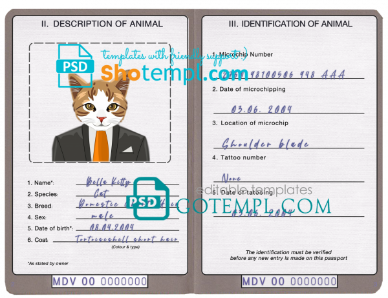 free Maldives cat (animal, pet) passport PSD template, fully editable