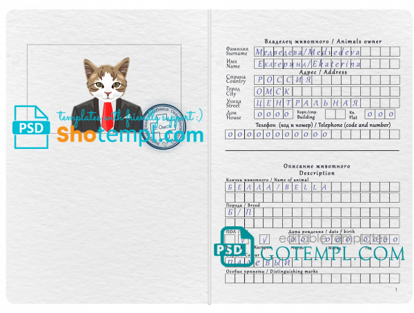 free Russia cat (animal, pet) passport PSD template, fully editable