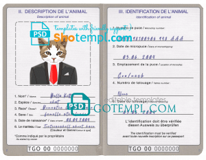 free Togo cat (animal, pet) passport PSD template, completely editable