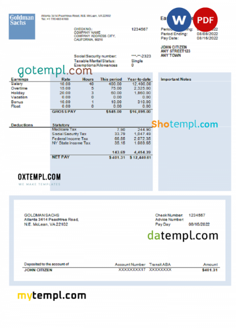 USA financial company earning statement template in Word and PDF format, version 2