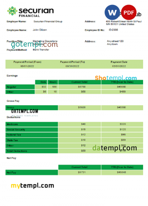 Fashion design company payslip template in Word and PDF formats