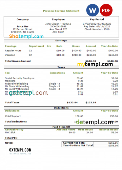 USA personal earning statement template in Word and PDF format