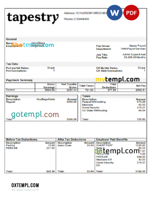 USA California design & landscaping services company pay stub template in Word and PDF format