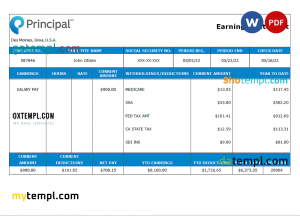 USA financial company earning statement template in Word and PDF format, version 2