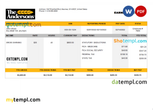 USA Honeywell conglomerate company pay stub Word and PDF template