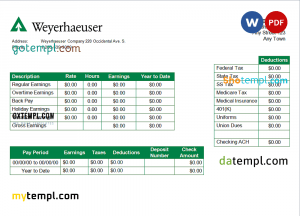 Entertainment company paystub template in Word and PDF formats