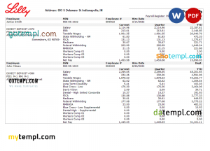 USA Green Dot bank statement Word and PDF template, 2 pages