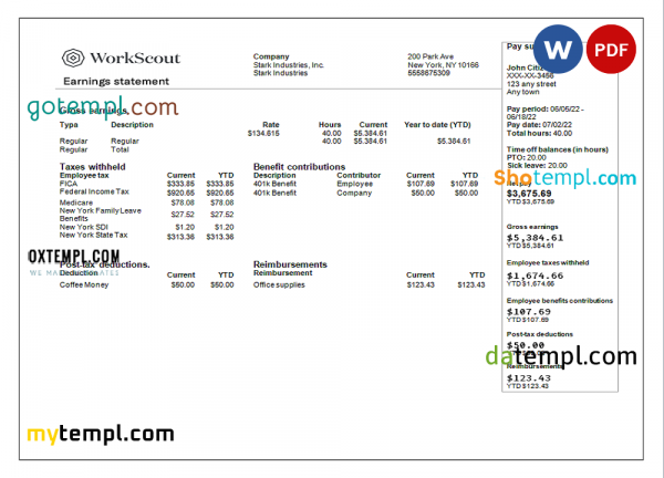 USA IT technologies company earning statement template in Word and PDF format