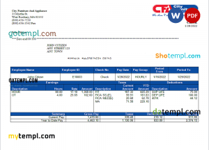 USA Texas 5Point Credit Union bank statement template in Word and PDF format