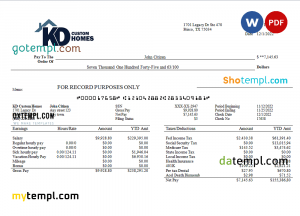 USA Fedex transportation company pay stub Word and PDF template