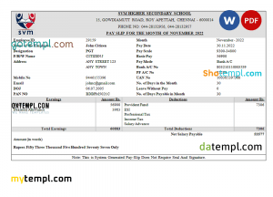 Zzamong company pay stub template in PDF and Word format