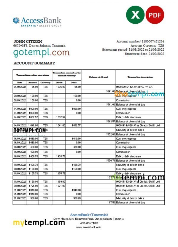 Tanzania Access bank statement, Excel and PDF template