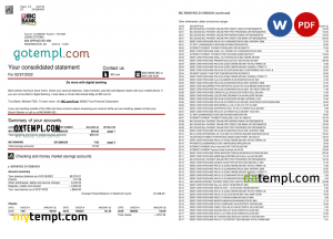 Namibia Atlantico bank statement template in Word and PDF format