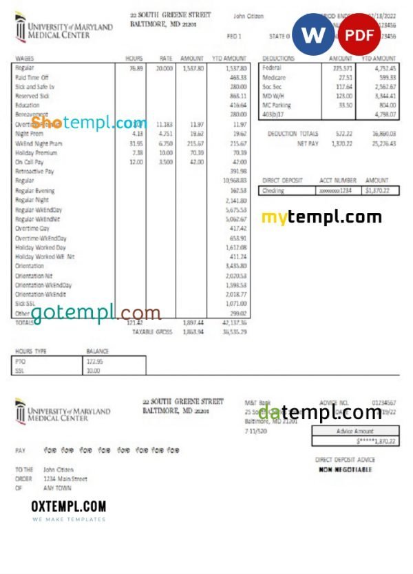USA Maryland University of Maryland Medical Center pay stub Word and PDF template