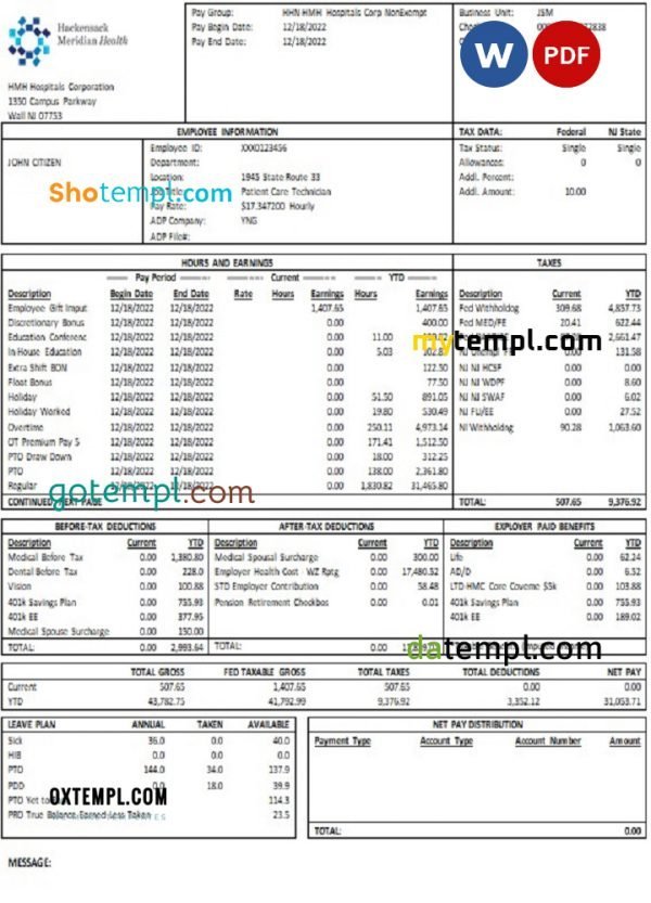 USA New Jersey Hackensack Meridian Health earnings statement Word and PDF template