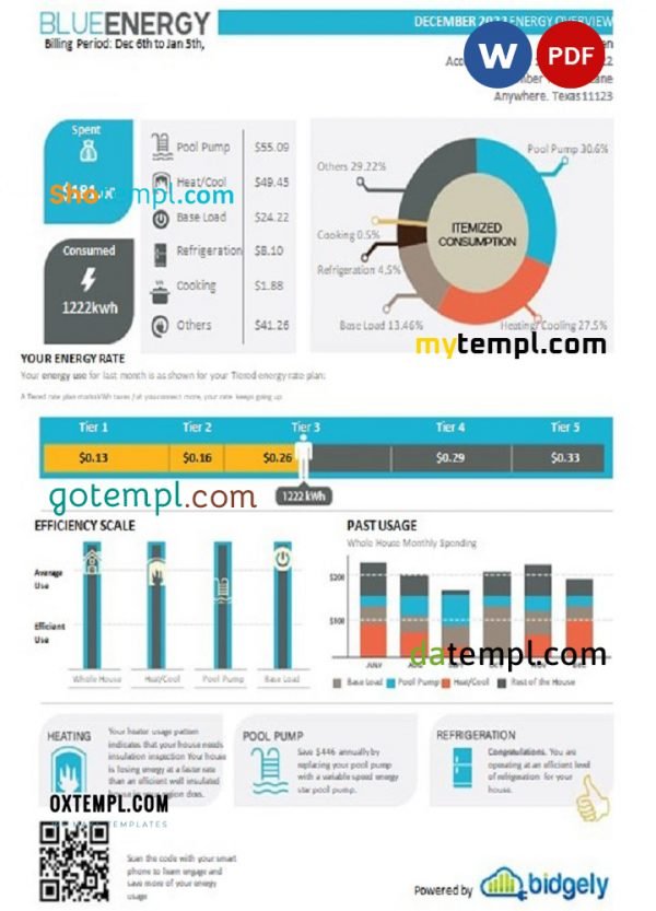 USA Texas Blue Energy utility bill, Word and PDF template