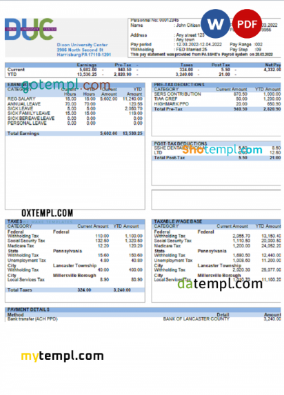 USA Dixon University Center educational company pay stub Word and PDF template