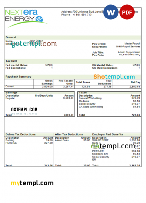 Pakistan Meezan bank statement template in Word and PDF format