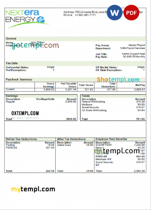 USA NextEra Energy electric company pay stub Word and PDF template