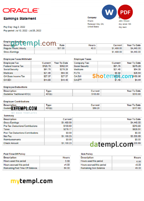 USA Oracle software company pay stub Word and PDF template