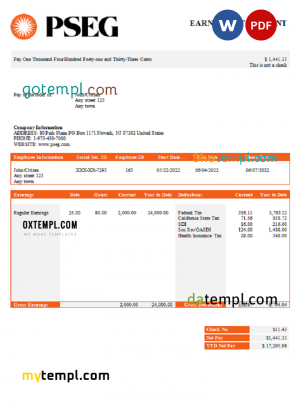 home renovation company paystub template in Word and PDF formats
