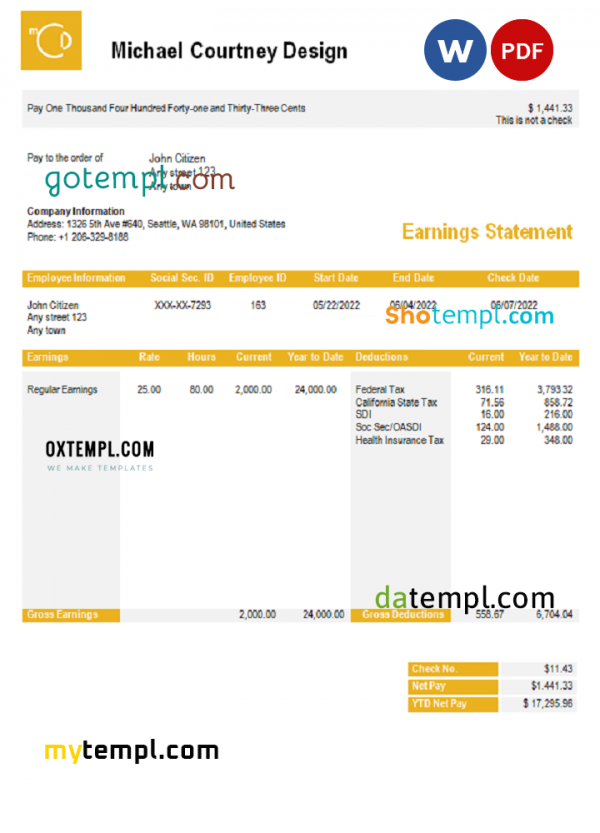 USA Michael Courtney Design graphic company pay stub Word and PDF template