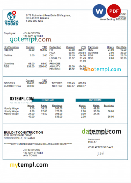 USA Omega Tours tourism company pay stub Word and PDF template