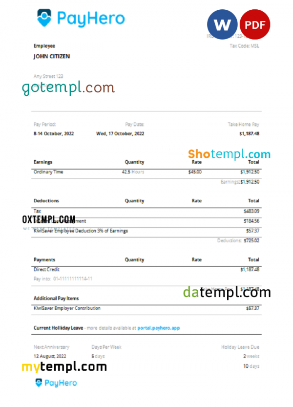 USA PayHero financial company pay stub Word and PDF template