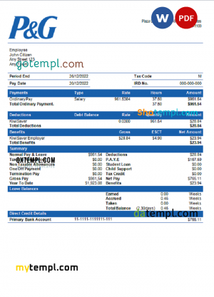 USA Florida Momentum Solar LLC paystub Word and PDF template, 3 pages