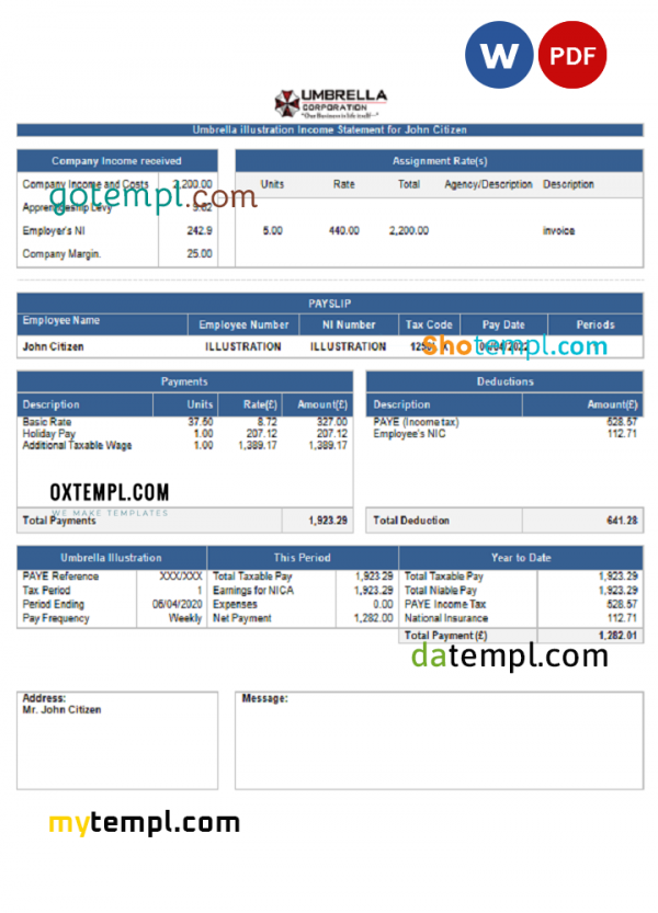 USA Umbrella pharmaceutical company pay stub Word and PDF template