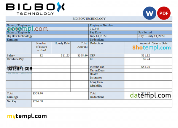 USA Big Box Technologies technology company pay stub Word and PDF template