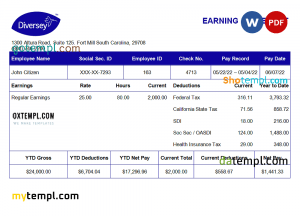 USA Diversey household goods company pay stub Word and PDF template