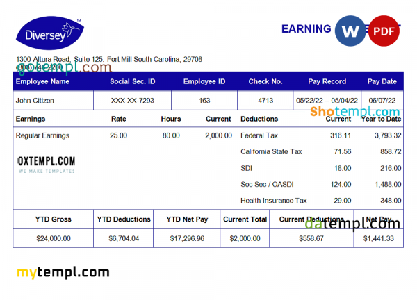 USA Diversey household goods company pay stub Word and PDF template