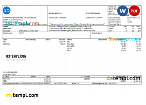 USA YORK Transportation & Logistics LLC earnings statement template in Word and PDF formats