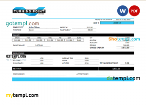 USA Oracle software company pay stub Word and PDF template